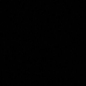 Meet your Posher, Pauliena